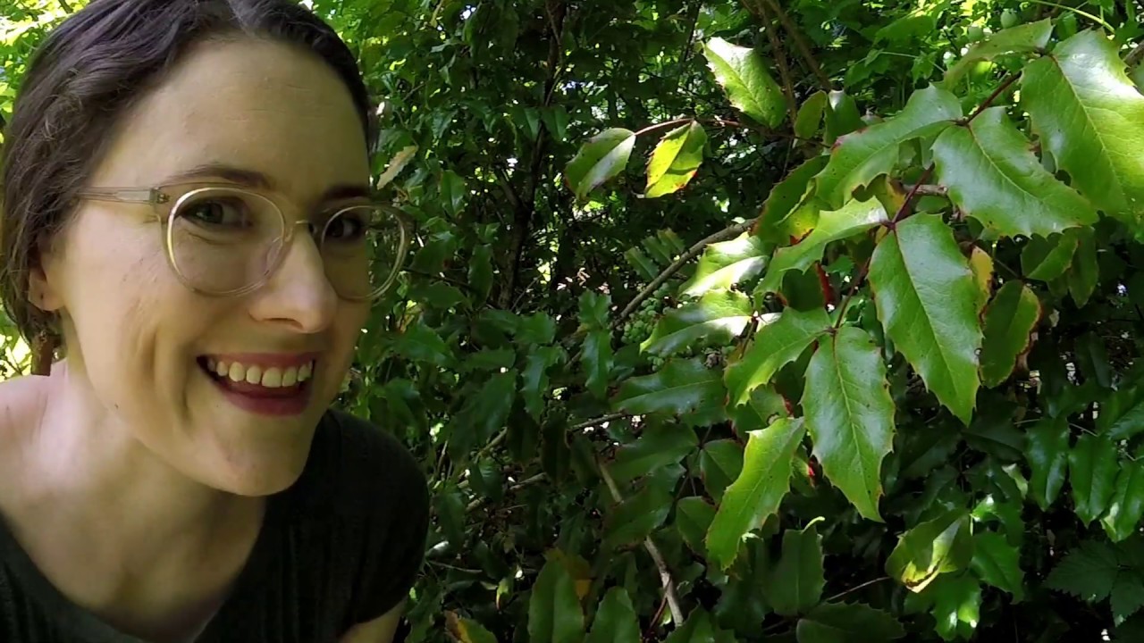 Intro to Edible Plants YouTube