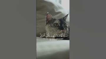 تلاوة للقارئ عبد الرحمن مسعد ❤️.          #قرآن #اكسبلور #تلاوة_خاشعة #عبدالرحمن_مسعد