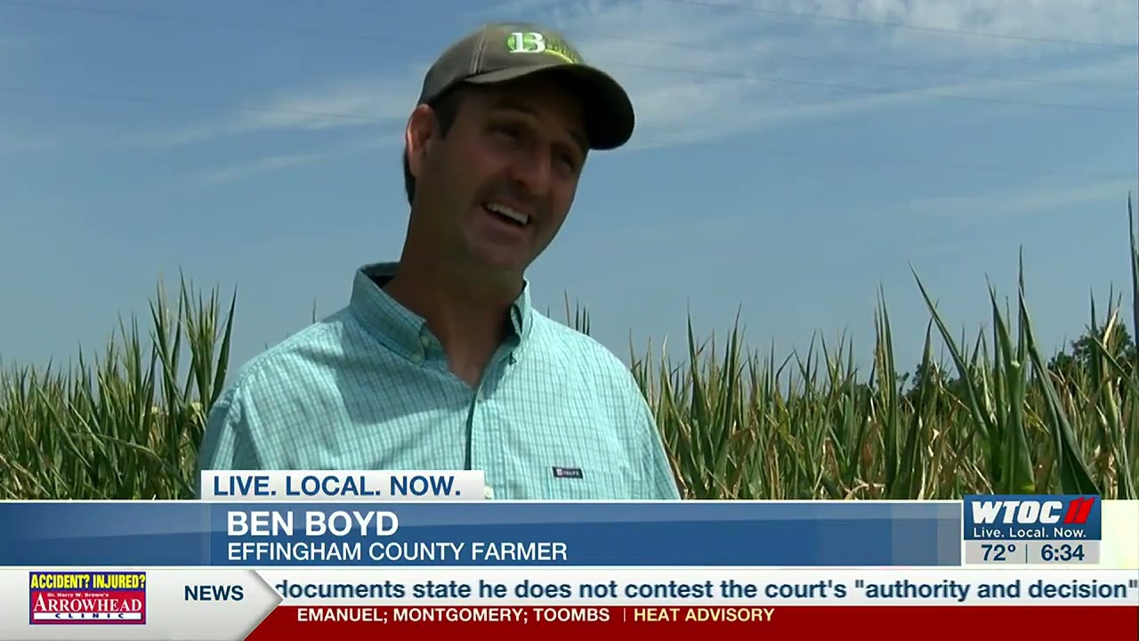 Farms struggling as extreme heat causes crops to die, livestock losing food