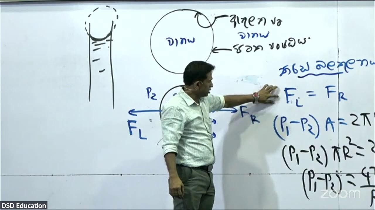 2026 REVISION පෘෂ්ටික ආතතිය ආරම්භය DAY1