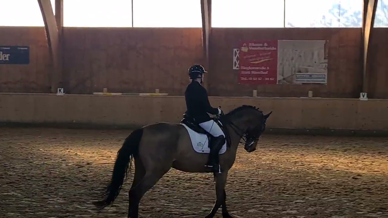 [Turnier] Hövelhof 2026 Clown L-Dressur L9 