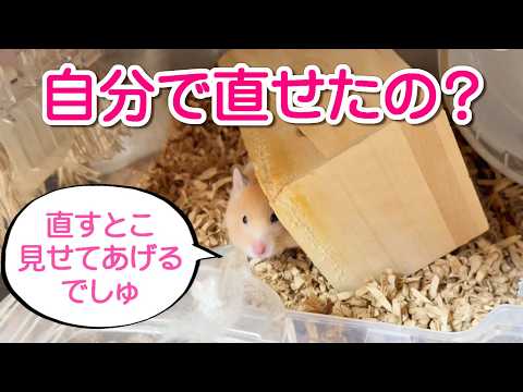 1143自分で直せたの？ - YouTube