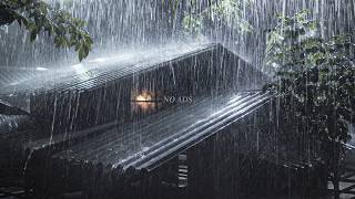 Drift Away with Heavy Rain & Distant Thunder 🌧️ Roof Rain Sounds | (No Ads) Deep Sleep ASMR