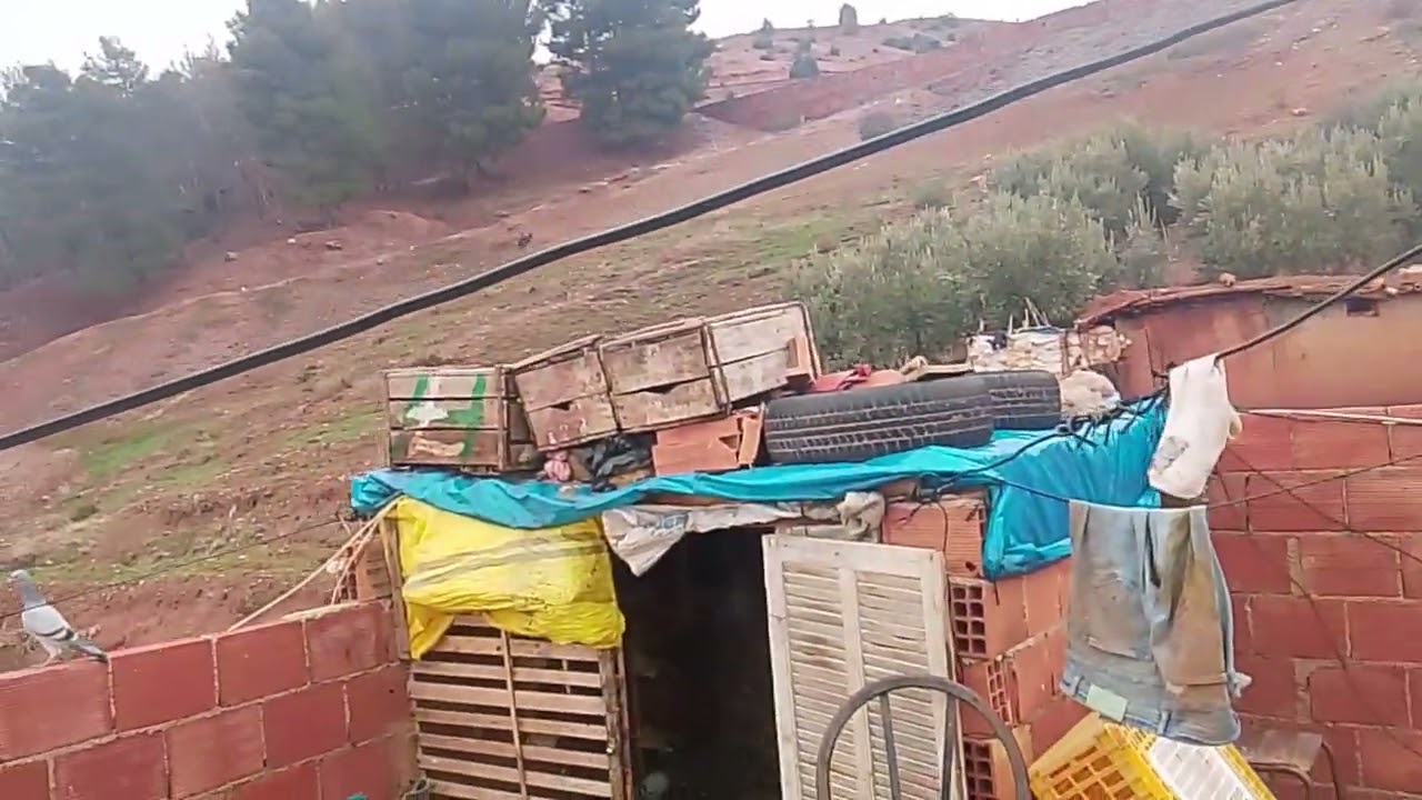 Twli3a khfifa 🕊️❤️