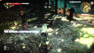The Witcher 2 Playthrough Part 43 HD