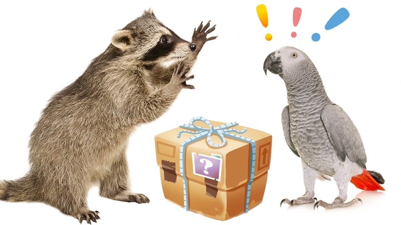 Животные зоопарка получили подарок от друзей с канала "Big Dog Family" Челендж "Пасхальный кролик".