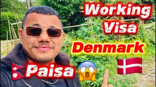 Working Visa in Denmark