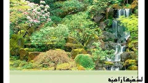 سـورة الغاشية تلاوة رائعة مؤثرة