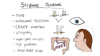 Strømme syndrome