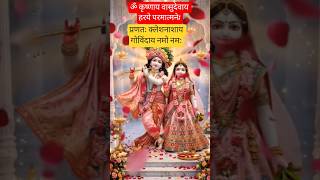 BhaktiSagarRadha Krishna 🙏✨ #shorts #radhakrishna #bhakti #krishna #viral