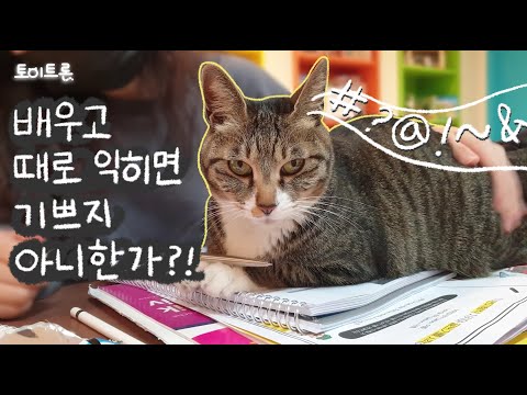 [장난감 나라의 트론이] <strong>EP</strong>. 108 배우고 때로 익히면 기쁘지 아니한가? │ Isn&amp;#39;t it happy to <strong>learn</strong> something?