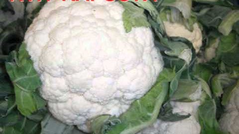 Interslavic Free Language Course - "Produce in Supermarket"