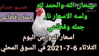 اسعار الدواجن اليوم الثلاثاء 6-7-2021 في السوق المحلي في مصر