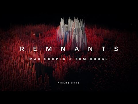 Remnants