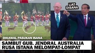 Gub. Jendral Australia dikawal Pasukan Rusa Istana Lompat-lompatan, Presiden Jokowi berdiri menunggu