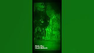 Sabda Alam - Hendri Rotinsulu