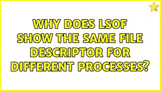 Ubuntu: Why does lsof show the same file descriptor for different processes (2 Solutions!!)