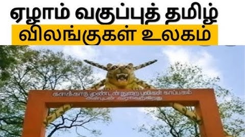 விலங்குகள் உலகம்/ ஏழாம் வகுப்புத் தமிழ்/ 7th std  இயல் 2/