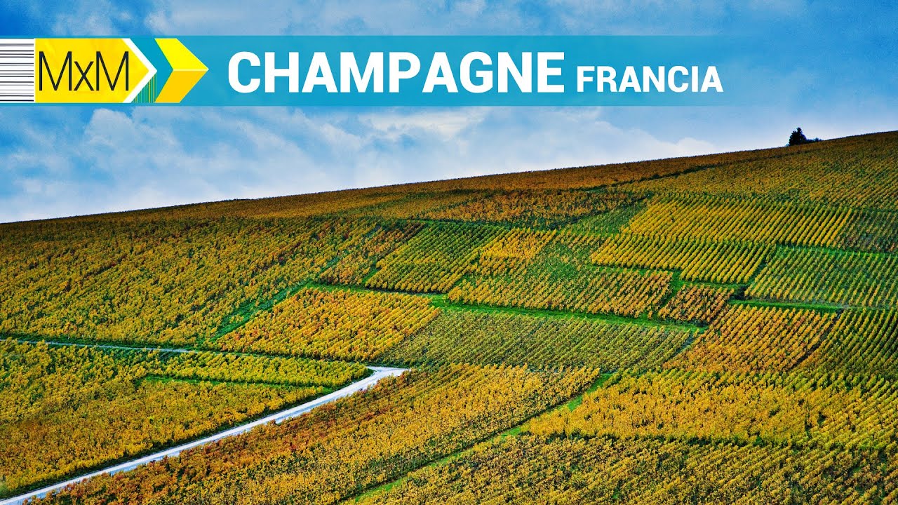 Madrileños por el mundo: Champagne (Francia)