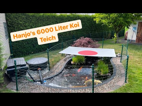 Hanjo’s 6000 Liter Koi Teich. Klein aber fein!!