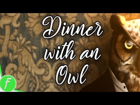 Dinner With An Owl FULL WALKTHROUGH Gameplay HD (PC) | NO COMMENTARY