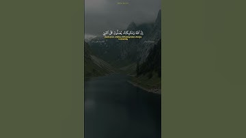 سورة الأحزاب الآية ٥٦ القارئ علي جابر