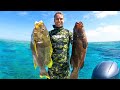 Spearfishing Australia's Most Elusive Fish, GREAT BARRIER REEF ISLAND ('The Great Adventure' Ep: 9)