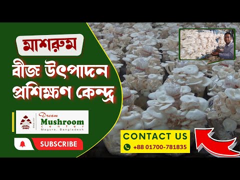 ভিডিও: ঝিনুকের মাশরুমে কিভাবে আচার দেওয়া যায়