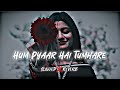 Hum Pyaar Hai Tumhare | Slowed & Reverb | Top Lofi Songs Kumar Sanu / Alka Yagnik #lofi #90s Mp3 Song