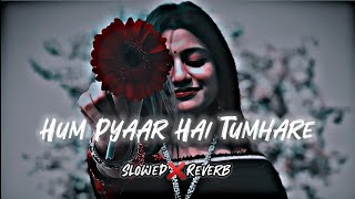 Hum Pyaar Hai Tumhare | Slowed & Reverb | Top Lofi Songs Kumar Sanu / Alka Yagnik #lofi #90s
