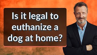 Is it legal to euthanize a dog at home?