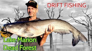 Catfishing the Dead Forest on Lake Marion