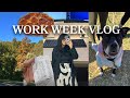work week vlog: days in my life, high protein pizza recipe, monthly grocery restock 
