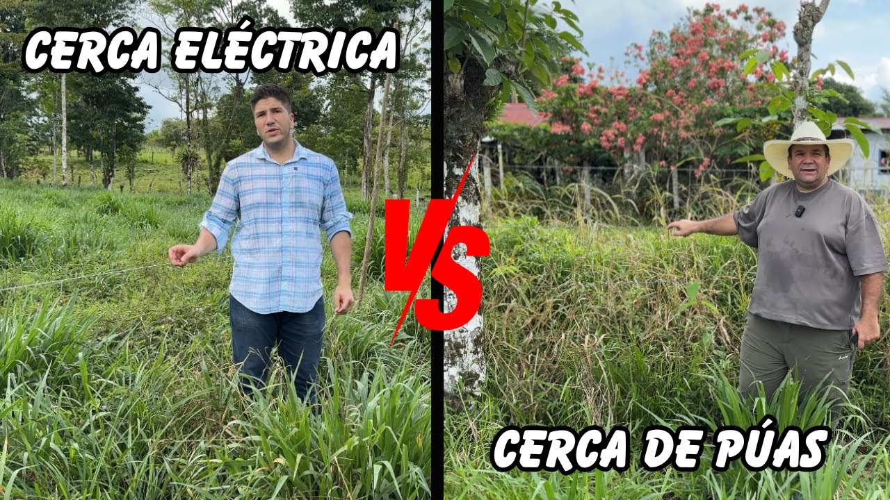Cerca Eléctrica VS Cerca de Púas | Ventajas y Desventajas