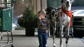 Funny and sweet  children with animals