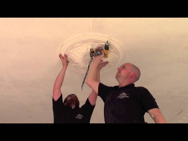 Installing A Plaster Ceiling Rose You Installing A Plaster Ceiling Rose You, Installing A Ceiling Rose