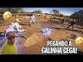 QUATRO estagiário PEGANDO UMA  UMA GALINHA CEGA! KK