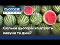 Кавуни та дині вже на прилавках: скільки коштують баштанні?