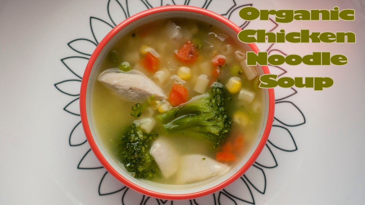 Healthy Organic Chicken Noodle Soup - YouTube