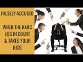 Falsely Accused — When the narc lies to the Court & takes your kids