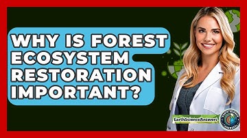 Why Is Forest Ecosystem Restoration Important? - Earth Science Answers