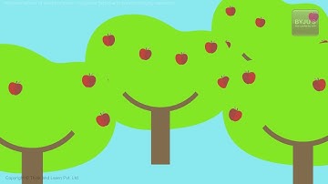 Magnetic Field Due To Current Carrying Conductor