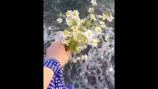 Ahmet Kaya | Giderim #ahmetkaya #şarkı