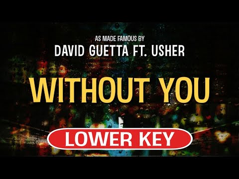 Video thumbnail for Without You - David Guetta feat. Usher
