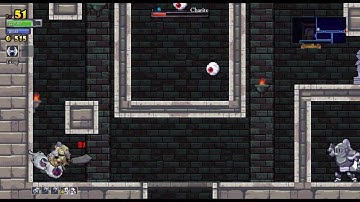 Intro to... Rogue Legacy