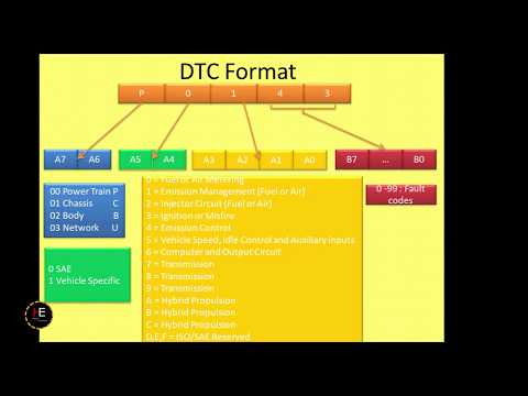 Video: Wat is een DTC-deelnemernummer?