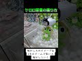 クレーンゲーム 攻略 ゲーセン 確率機 確率無視 ケロロ軍曹 ケロッとマーチ ゲーセン TikTok クレーンゲーム 攻略 ゲーセン 確率機 確率無視 ケロロ軍曹 ケロッとマーチ ゲーセン TikTok