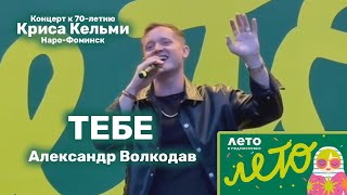 "ТЕБЕ" Александр Волкодав - концерт к 70-летию Криса Кельми - Наро-Фоминск 24.08.2025