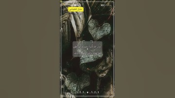 سورة الجاثية الاية 10-13