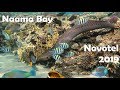 Underwater hotel Novotel Beach Sharm-el-Sheikh, Naama Bay, 2019